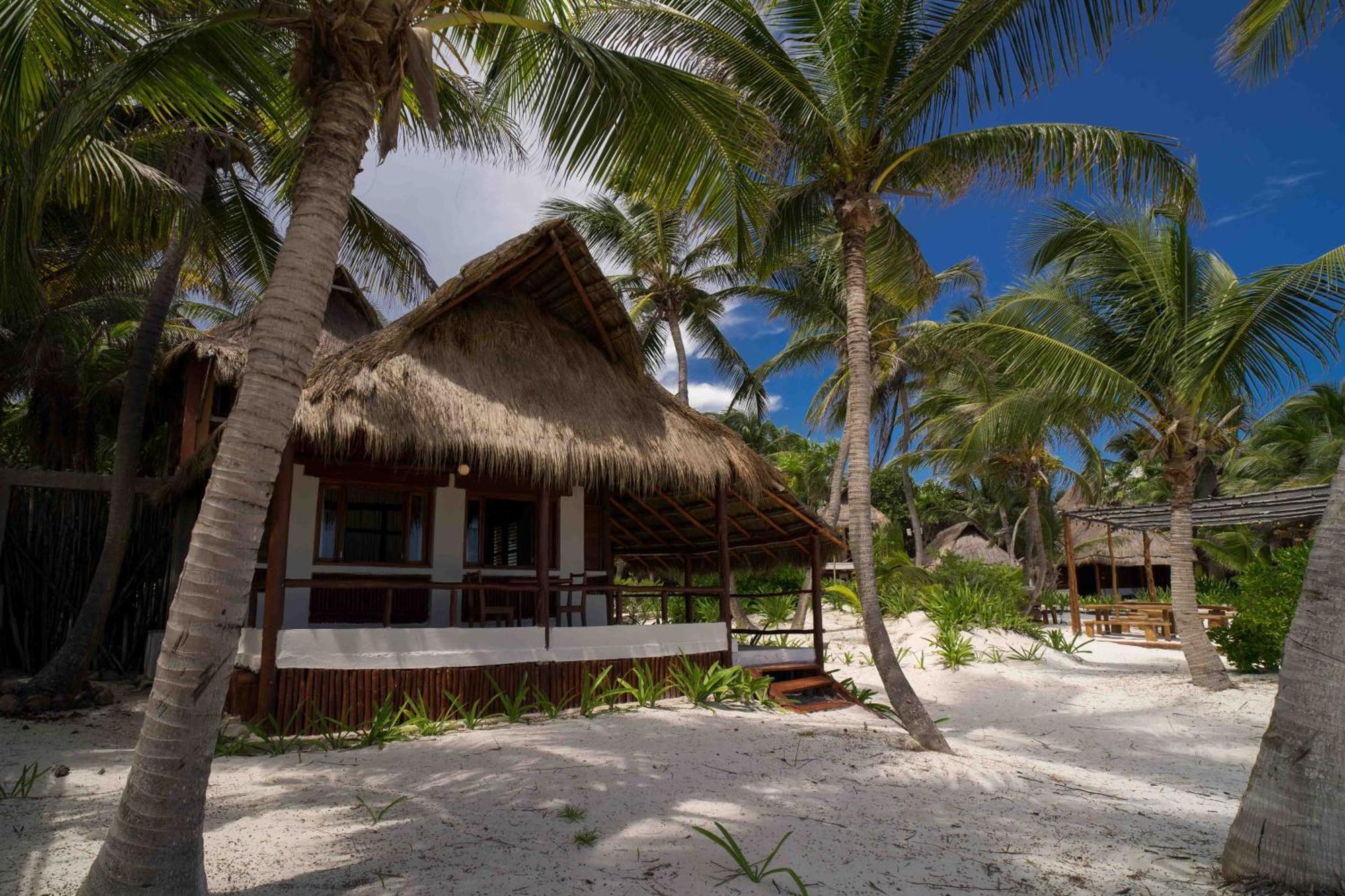 فندق Bt Live Tulum Located At The Party Zone المظهر الخارجي الصورة