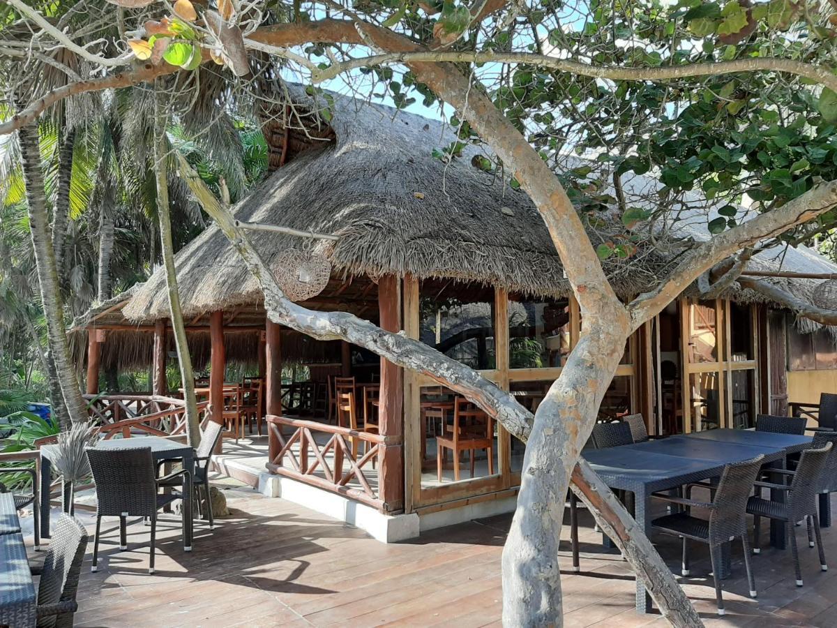 فندق Bt Live Tulum Located At The Party Zone المظهر الخارجي الصورة